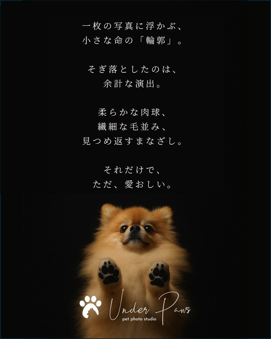 私たちは、本当に価値ある写真を目指して「飾らない、そのままの