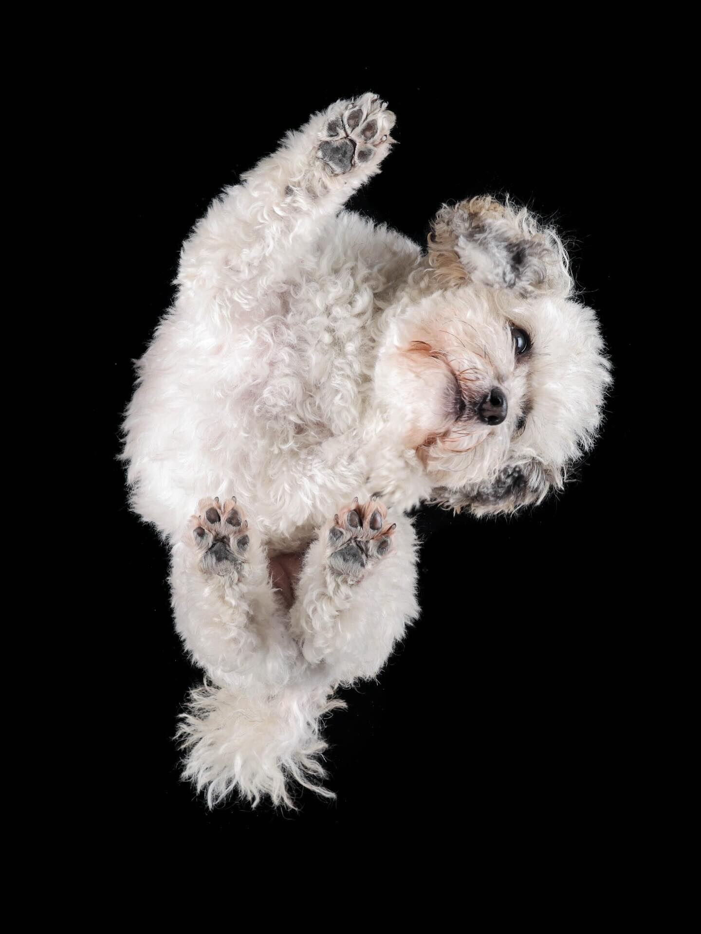 ❤︎アムちゃん❤︎