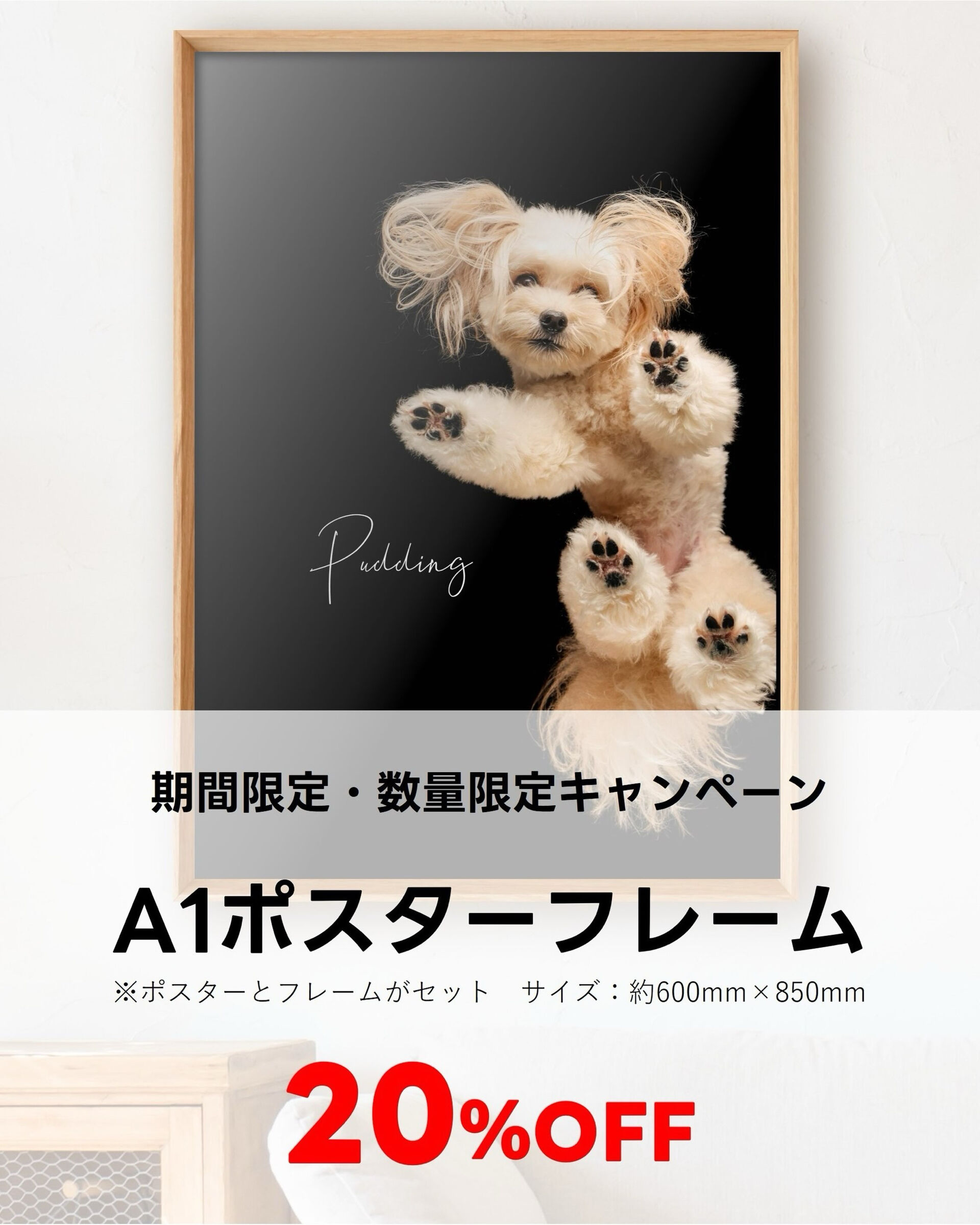 UnderPawsで一番大きいサイズのA1フレームが20％O